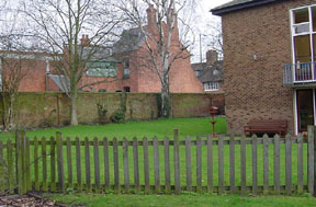 Corner of the Garden